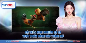 đá gà trực tuyến