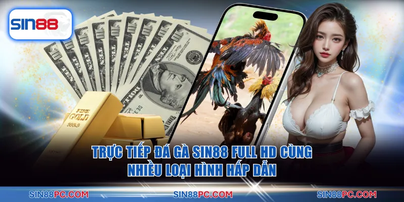 Trang chủ SIN88 19 Trực tiếp đá gà SIN88 Full HD cùng nhiều loại hình hấp dẫn